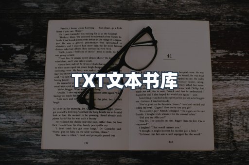 TXT文本书库